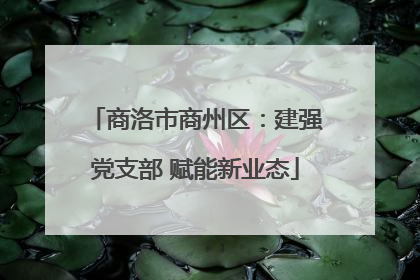 商洛市商州区：建强党支部 赋能新业态
